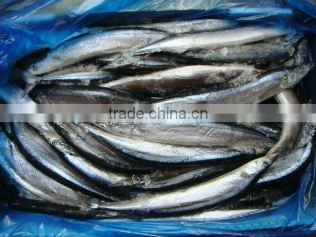 whole round frozen pacific whole round Taiwan saury