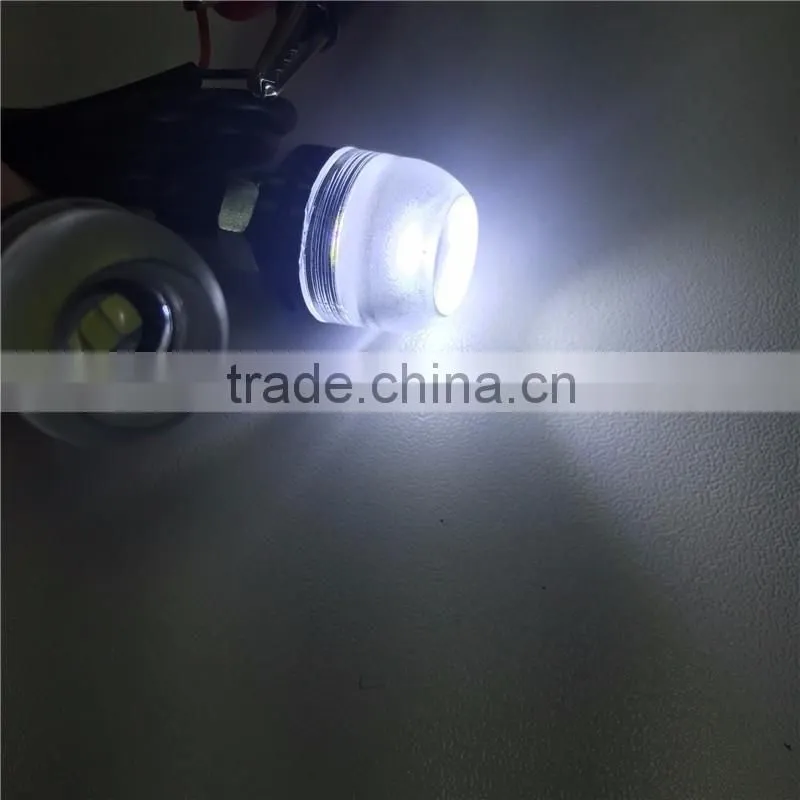 Jinxin License Plate Bolt Lights Black- Universal Truck and All Motorcycles