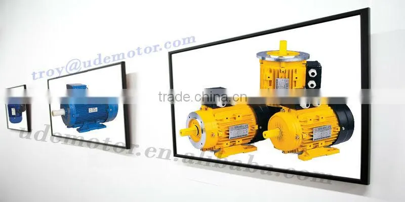 MS Series aluminum housing motor for sale