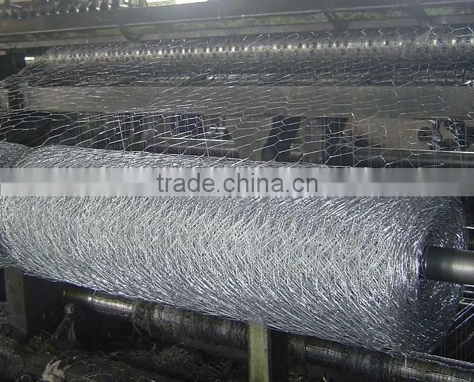 HOT SALE!!! PVC Coated Hexagonal Wire Netting (MANUFACTURER&FACTORY )