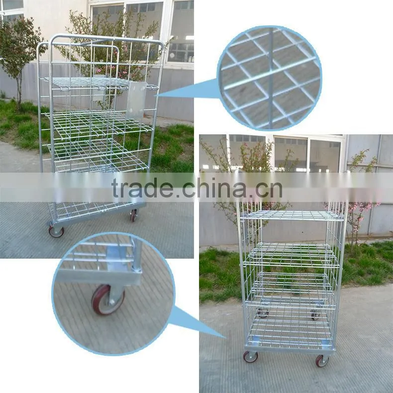 Wire Roll Cage