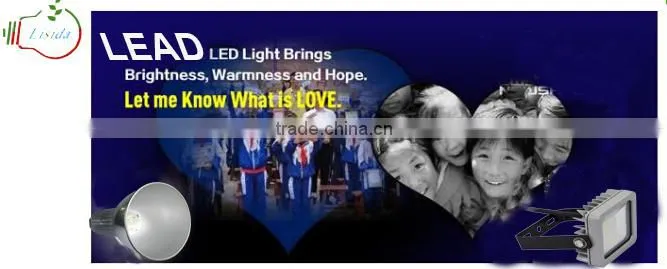 Top quality IP65 waterproof high lumen led flood light 10w 30w 50w led flood light