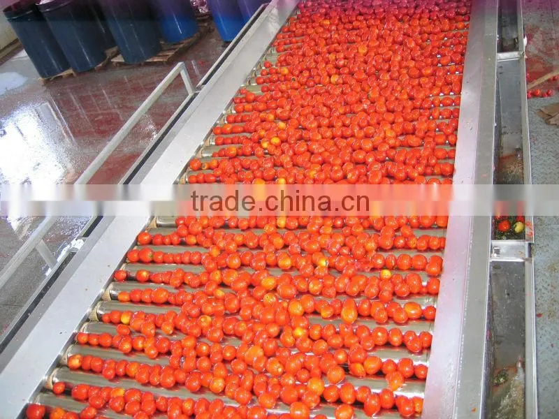 turnkey project of tomato paste production machinery
