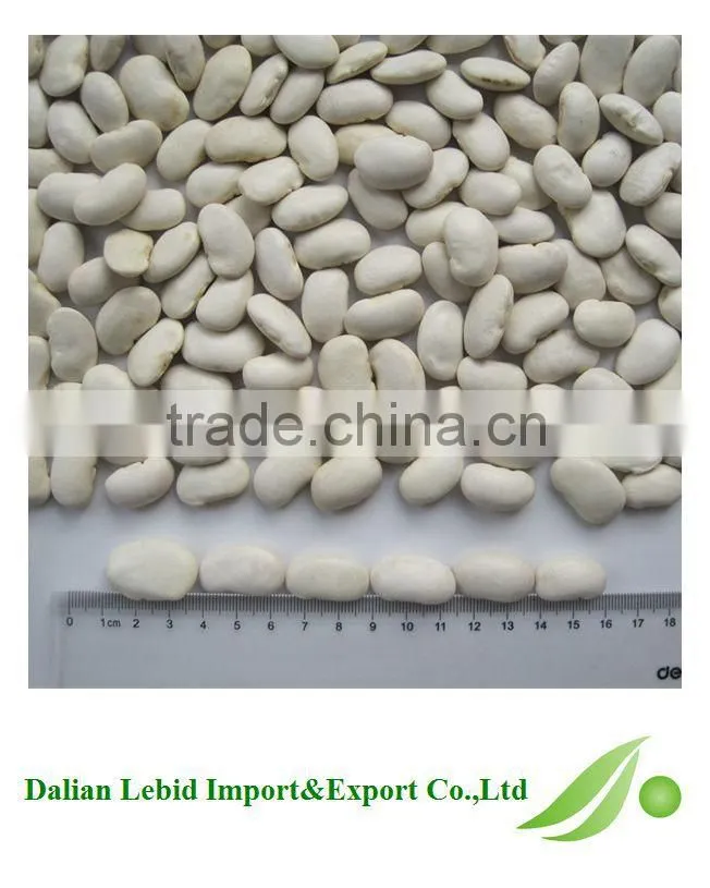 All Kinds Of Bean Cooking White Beans Competitive Price 2016 Crop Wholesale