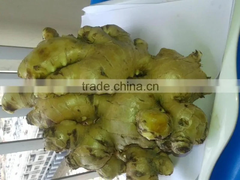 Fresh ginger/ Dry ginger