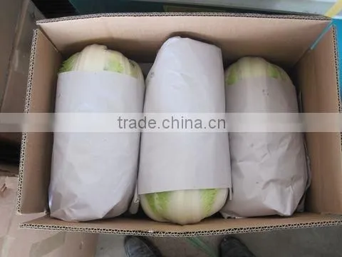 chinese green cabbage