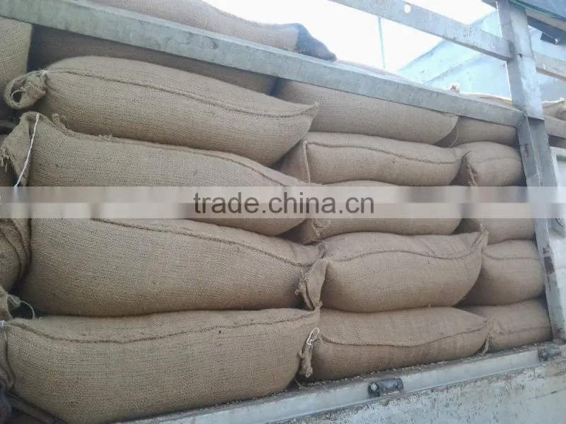 VIETNAM ROBUSTA COFFEE BEANS SCREEN 16 ORIGINAL