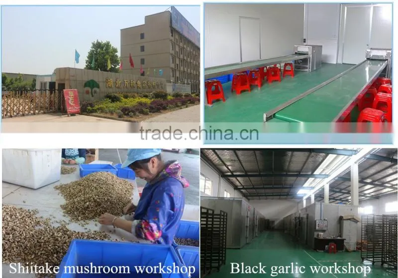 Healthcare Supplement Product Supply Chinese Food Fermented Black Garlic