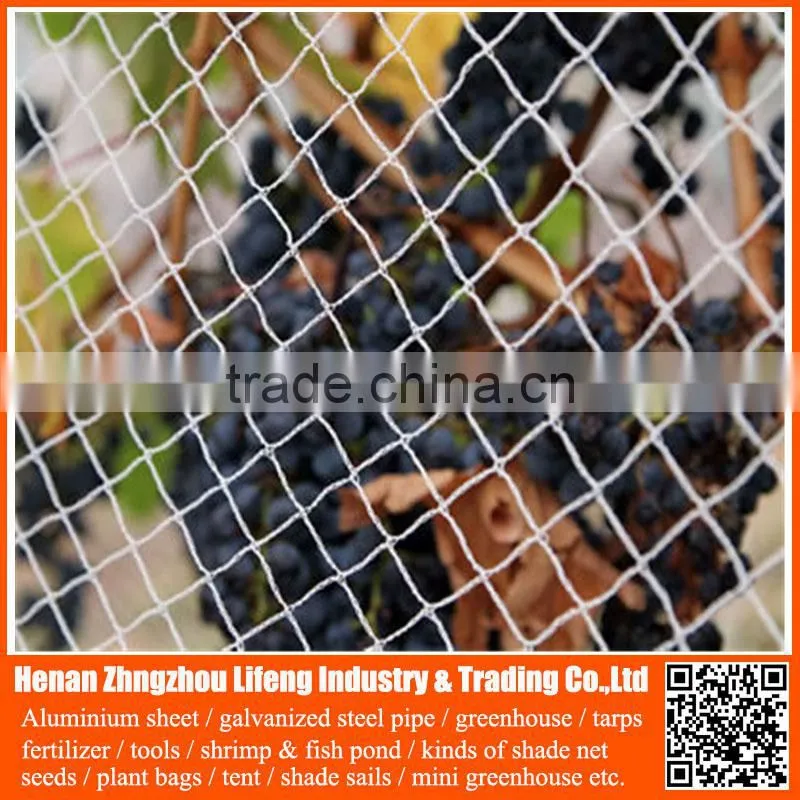 New arrival orchard grape HDPE anti bird netting , pe plastic knotted mesh bird netting