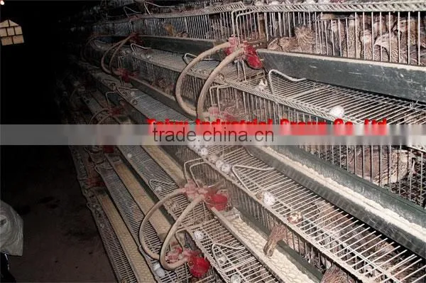 High Quality Quail Cage For Sale