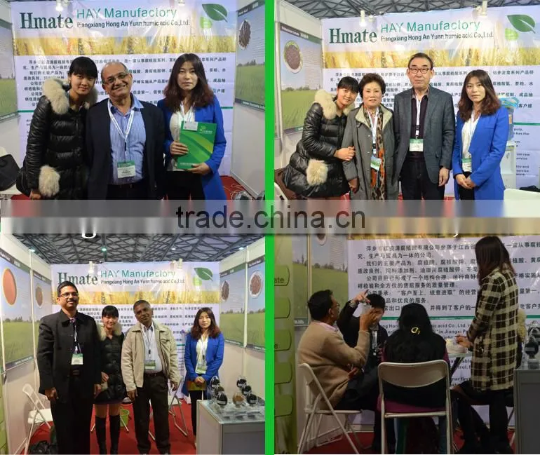 HAY potassium humate green fertilizer / organic fertilizer classification/ humic acid fertilzer