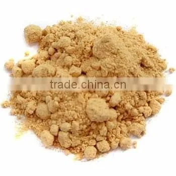 Hot sale competitive price new harvested young ginger