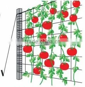 60in x 328ft Roll Economy Trellis Support Netting