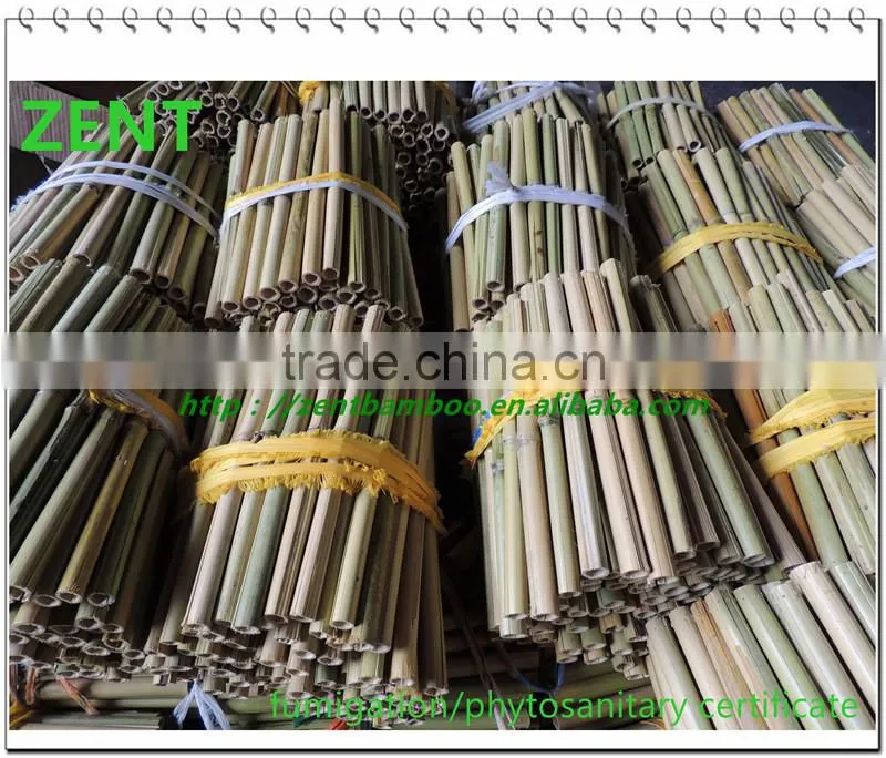 ZENT-111 bamboo poles manufacturers dry bamboo pole ram bamboo poles