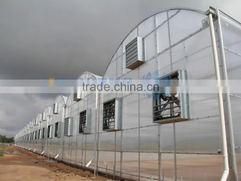 Greenhouse Film Plastic