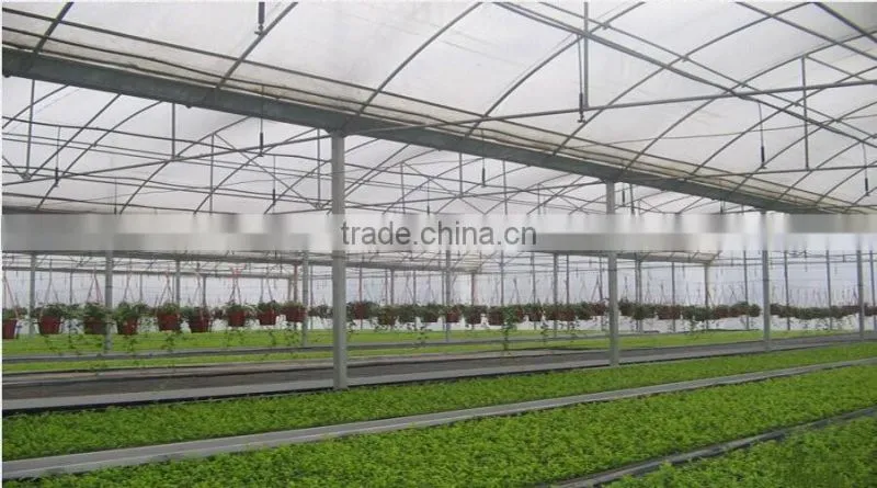 Plastic Sheet Covered Greenhouse Grow Tent With Gutter System For Agricultural Planting