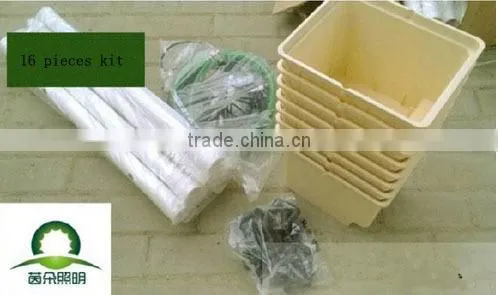 dutch bucket system