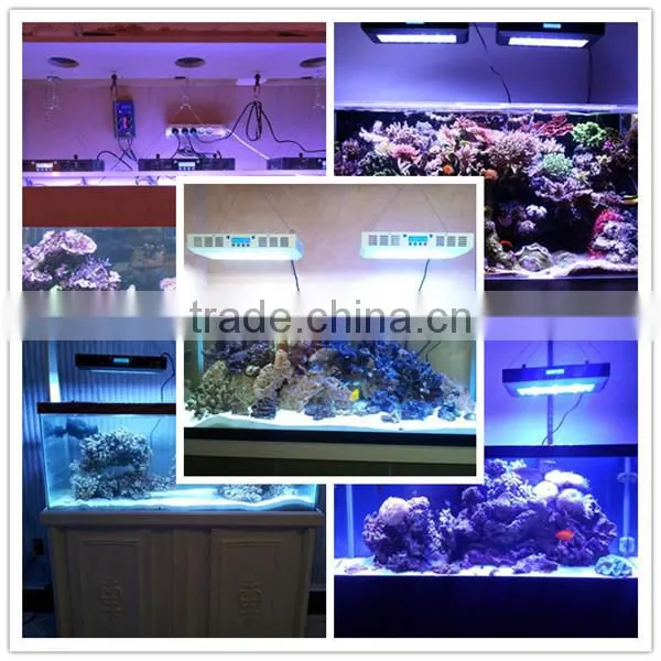 factory wholesale 55x3w led fish aquarium lights