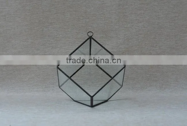 Micro landscape irregular geometric succulent terrariums hanging greenhouse