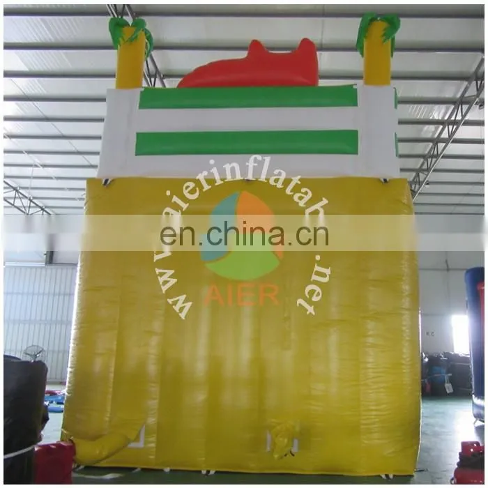 Commercial grade tiger inflatable dry slide