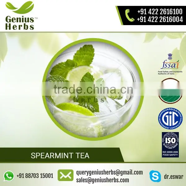 Premium Spearmint Tea with Excellent Anti-oxident Properties