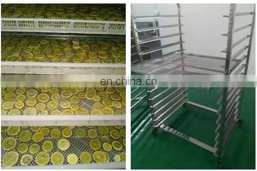 dehydrated fruit vegetable Dehydrator Dryer equipment hot air Big Capacity Commercial Industrial drying cabinet oven machine