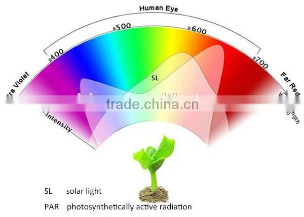 24W 36W E27 Led Plant Grow Light Hydroponic Full Spectrum Grow Lamp Bulb