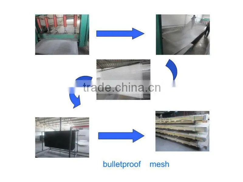 Hebei Shuolong High Quality Stainless steel security window screen in Australia