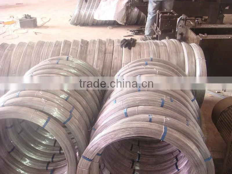High Quality Galvanized Oval Steel Wire Export to Brazil market