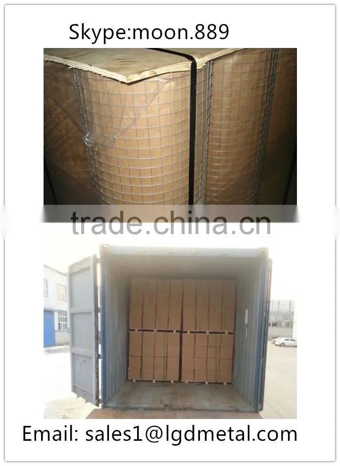 Hot supplier for Galvanized Welded wire mesh on Shenze