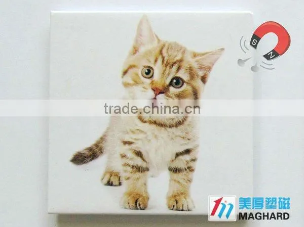 Iron Fridge Tin Magnet Tourist souvenir Cat