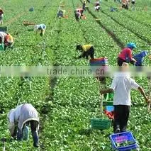 Anqiu Luda International Trade Co., Ltd. company overview - view 1