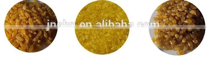 Automatic artificial rice extruder
