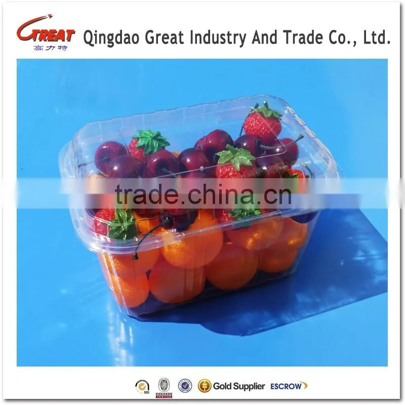 Disposable Blister Plastic Small Tomato Fruit Container Packaging Box