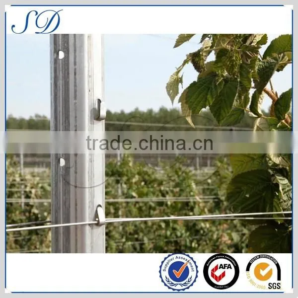 Galvanized Vineyard Post Grape Stake