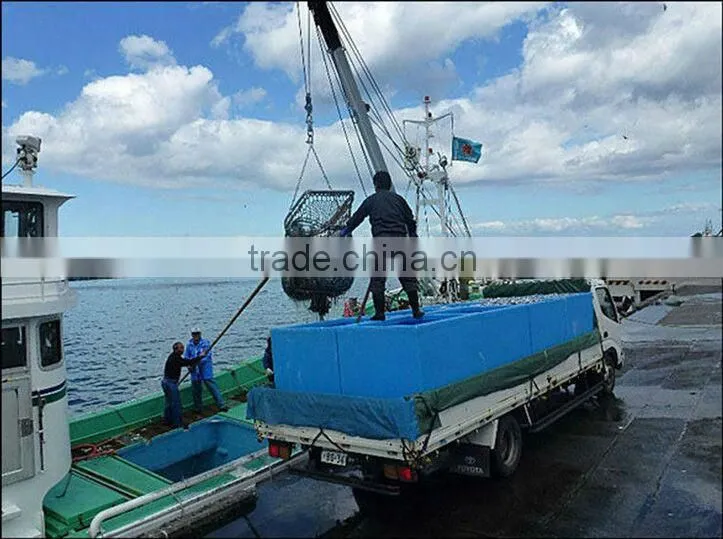 Rotomolded insulation fish tub large capacity fish container fish totes