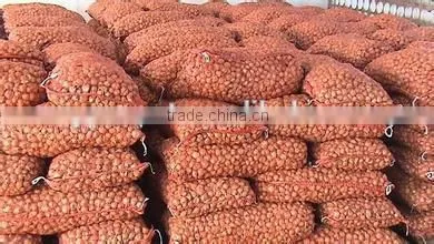dried onion flakes