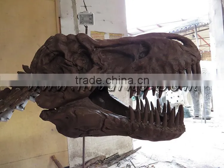 HLT artifical fiberglass dinosaur fossil for the science museum