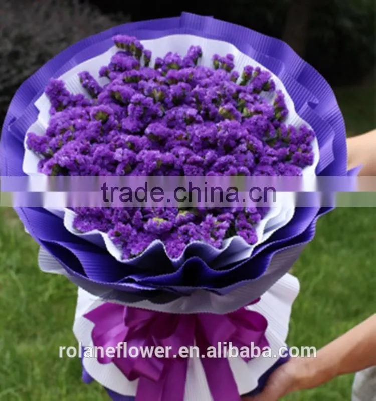 the high quality fresh cut myosotis flower to export