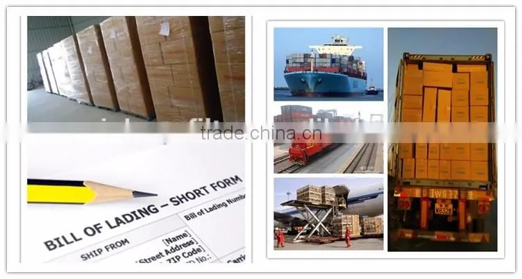 Cylinder Shaped Car Auto Alloy Oil Filter t741010009 Assembly