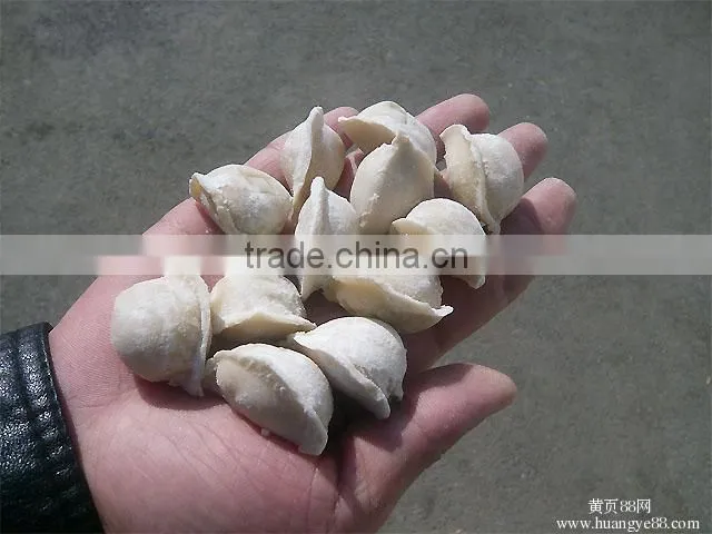 electric mini dumpling machine /automatic electric mini dumpling machine