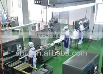 Automatic Cookies/mooncake Encrusting Machine