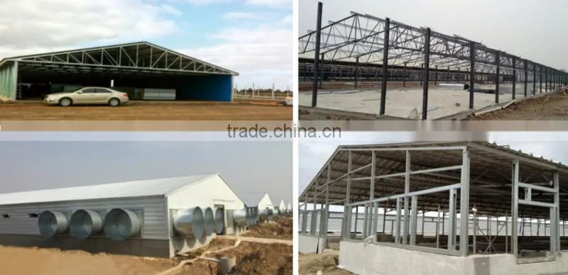 Direct manufacturer Steel Structure Workshop