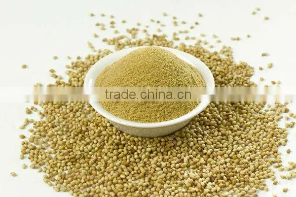 Coriander powder