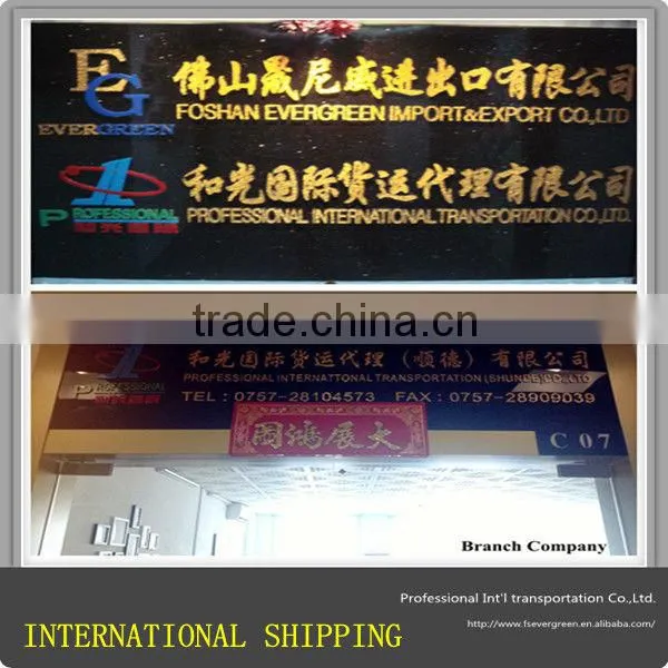 Warehouse service in Foshan for sea Shipping to Worldwide from China Freight Forwarder