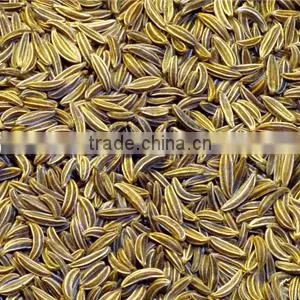Best Quality 99% Purity Cumin Seeds from India