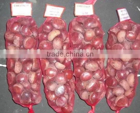 chestnut from china