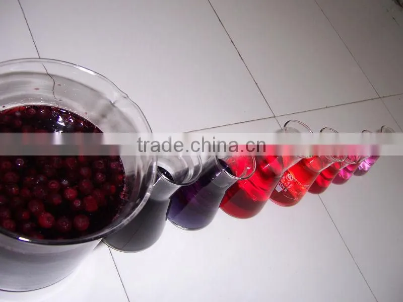 100% Natural Bilberry extract dried fruit powder with 25% anthocyanidins medicine use