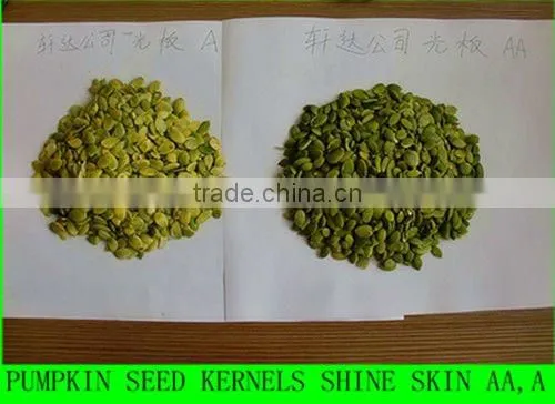2014 new crop pumpkin seed kernels shine skin AA,A