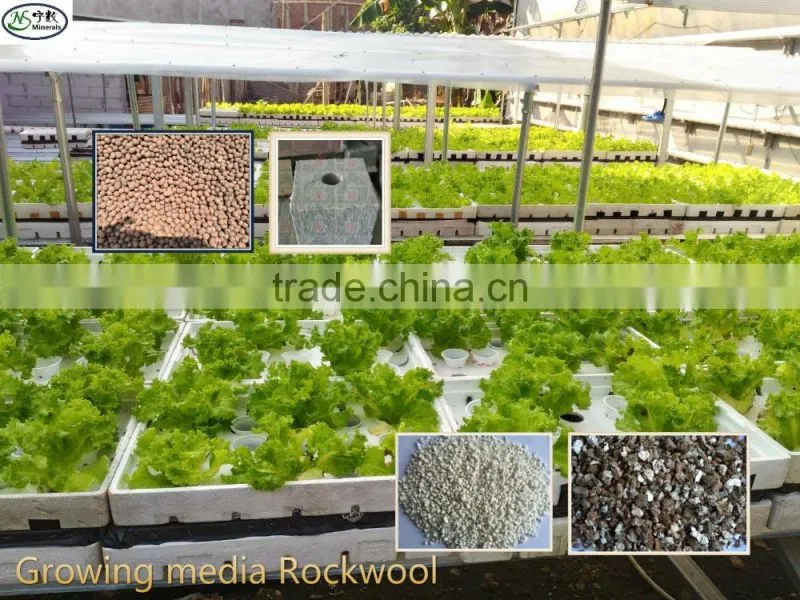 Growing media rockwool cubes for germination